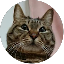 Okazaki Eri profile picture