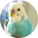 nao u profile picture