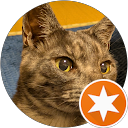 michi es profile picture