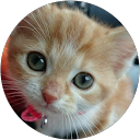 shiduka nakagawa profile picture